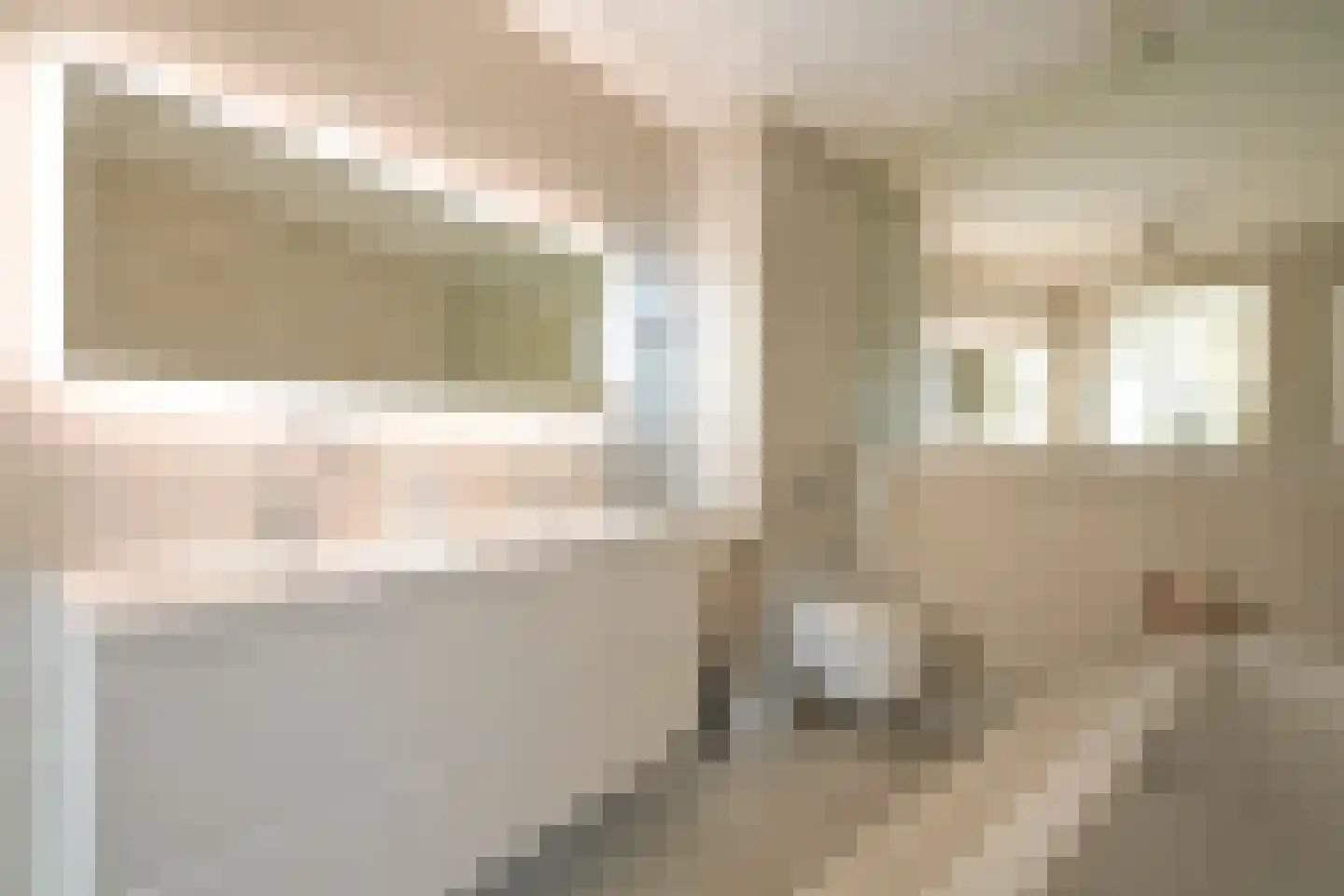 Carnegielaan 56 Den Haag thumbnail 22