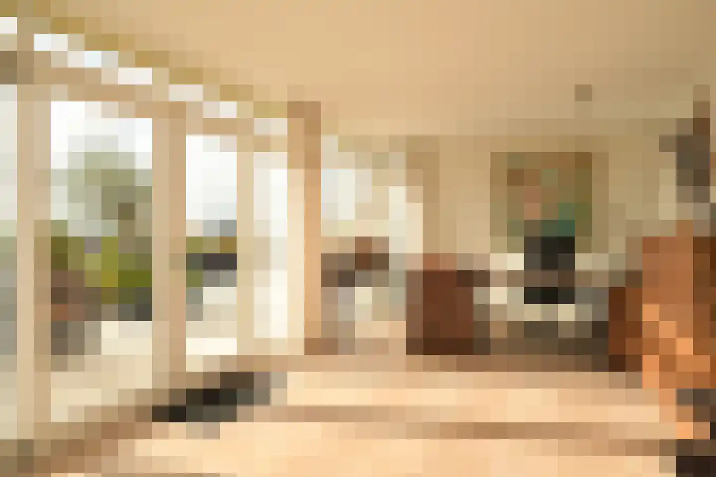 Carnegielaan 56 Den Haag thumbnail 24