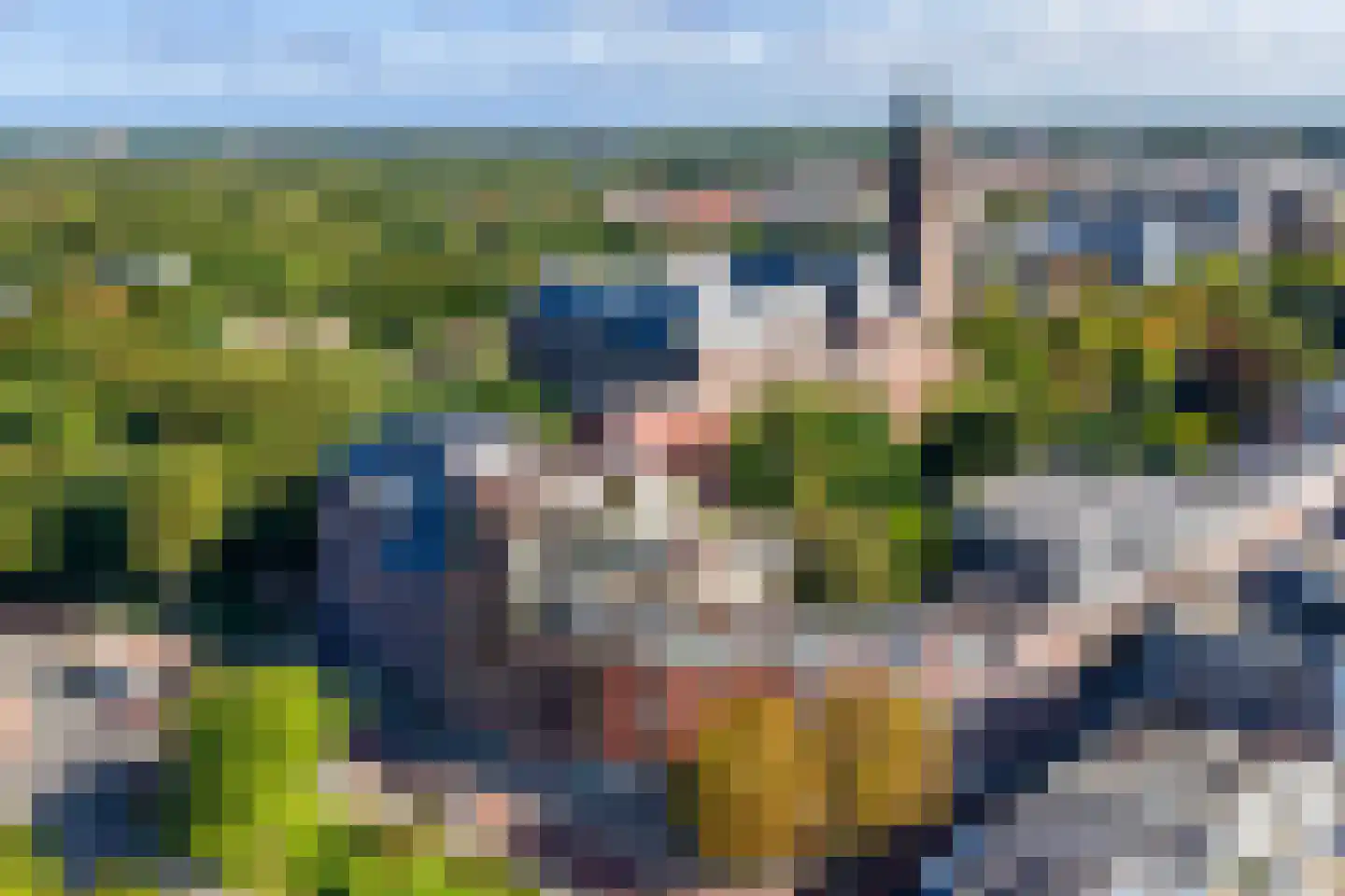 Carnegielaan 56 Den Haag thumbnail 6