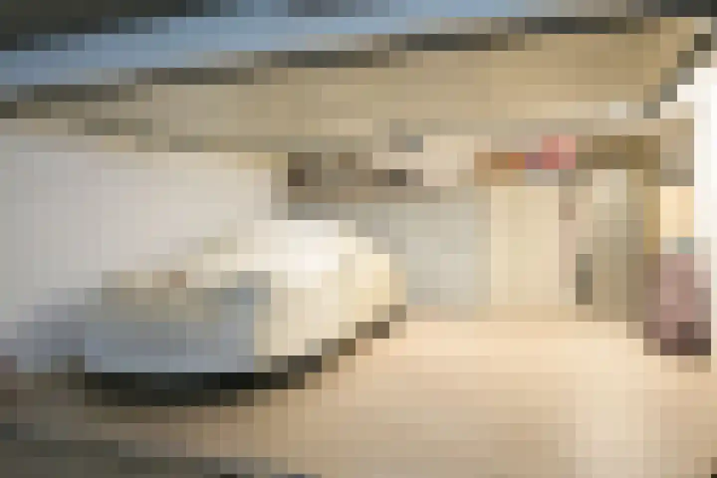 Carnegielaan 56 Den Haag thumbnail 63