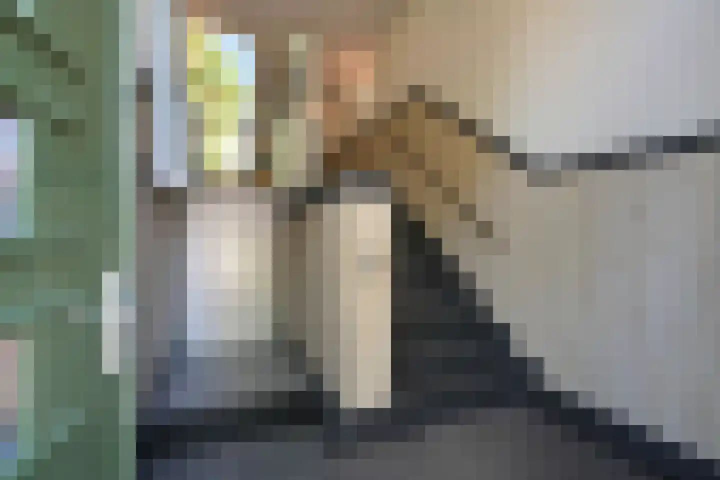 Carnegielaan 56 Den Haag thumbnail 9