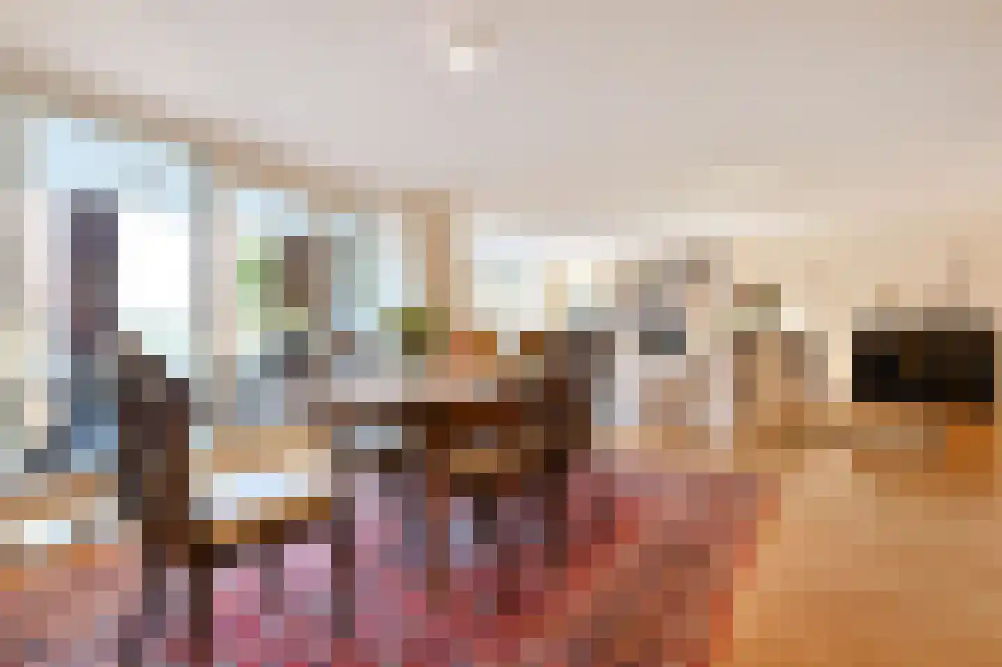 Carnegielaan 64 Den Haag thumbnail 11