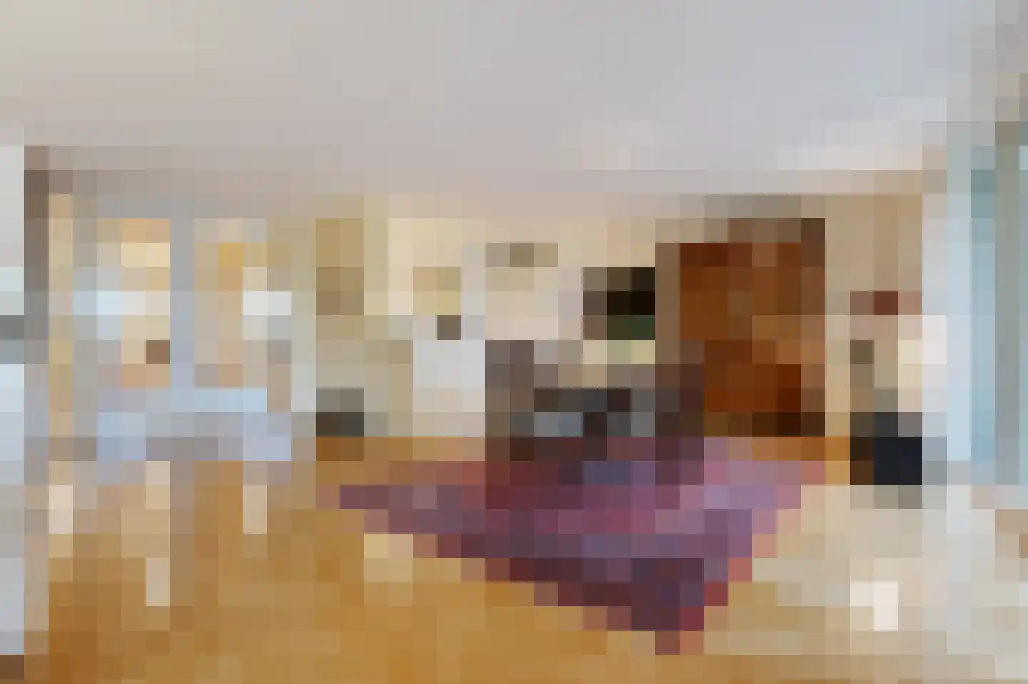 Carnegielaan 64 Den Haag thumbnail 13