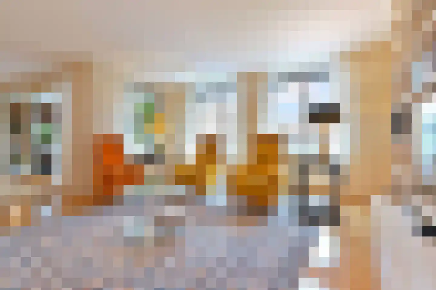 Carnegielaan 64 Den Haag thumbnail 17