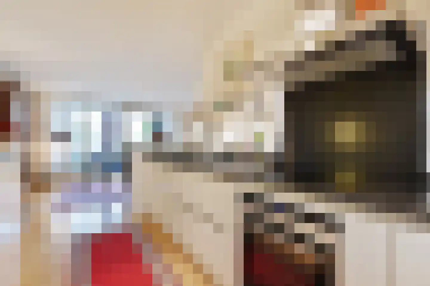 Carnegielaan 64 Den Haag thumbnail 22