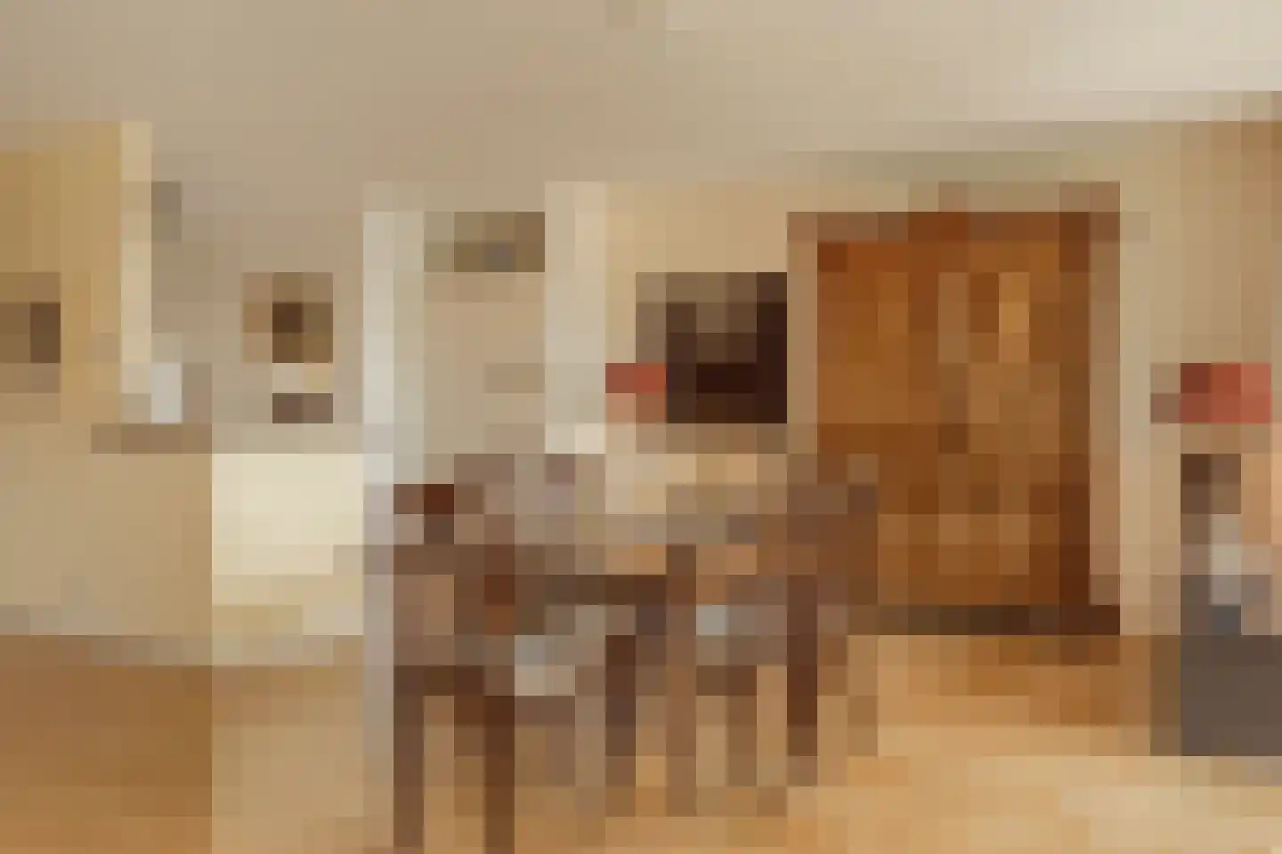 Carnegielaan 64 Den Haag thumbnail 23