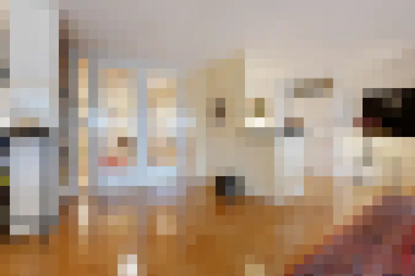 Carnegielaan 64 Den Haag thumbnail 23