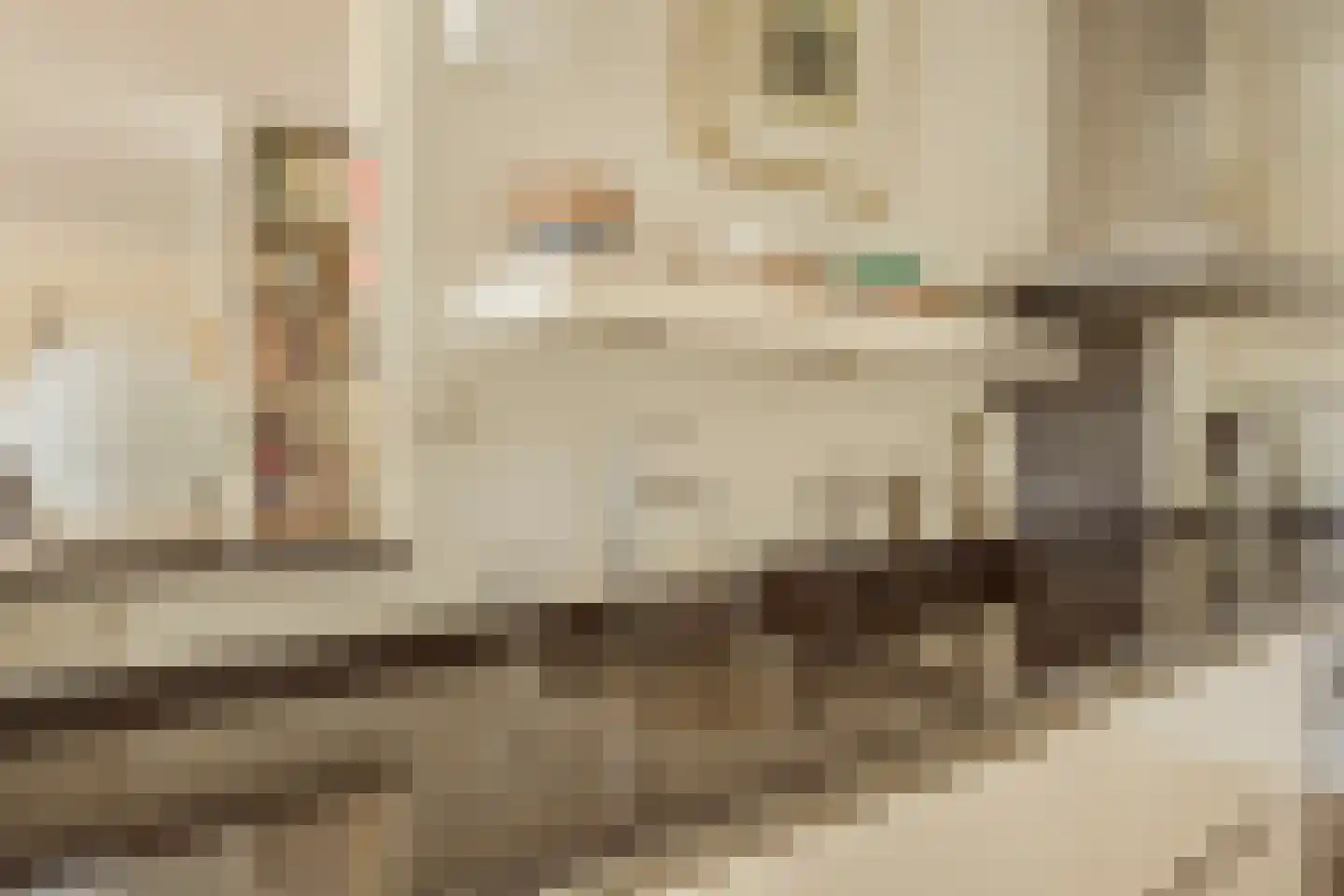 Carnegielaan 64 Den Haag thumbnail 25