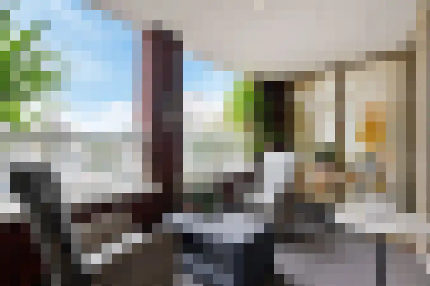 Carnegielaan 64 Den Haag thumbnail 26