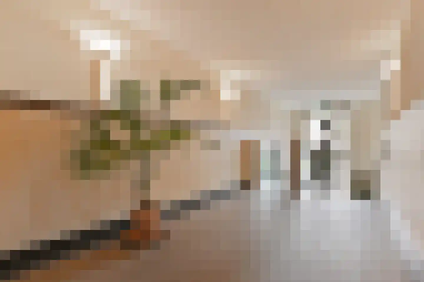 Carnegielaan 64 Den Haag thumbnail 4