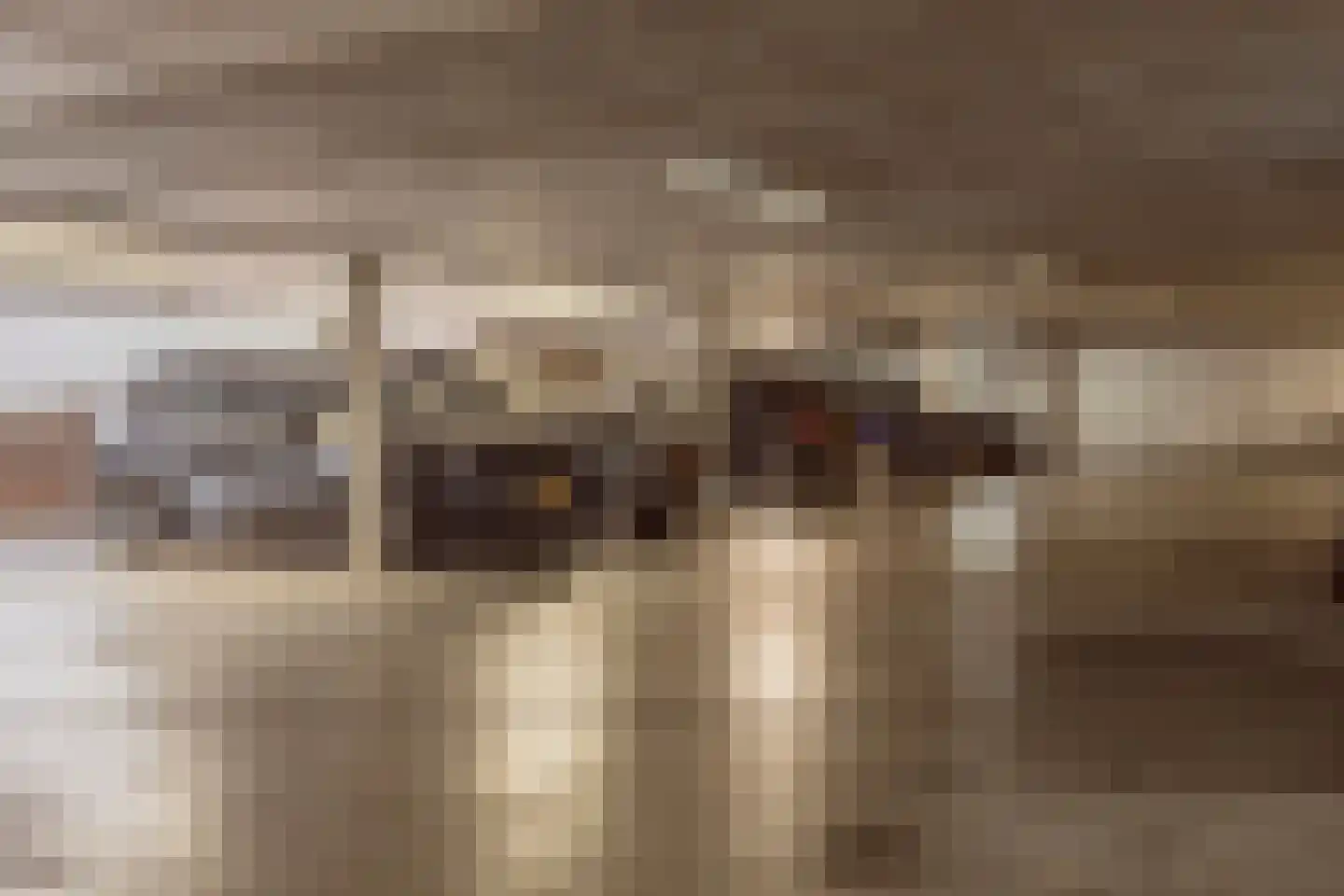 Carnegielaan 64 Den Haag thumbnail 48