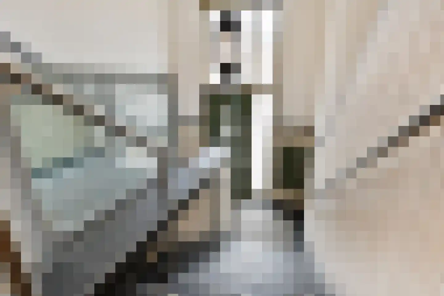 Carnegielaan 64 Den Haag thumbnail 5