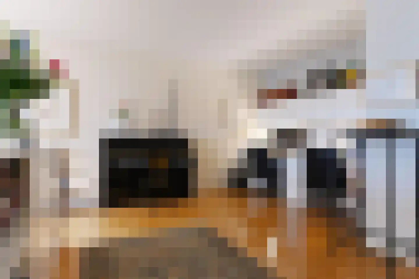 Carnegielaan 64 Den Haag thumbnail 9
