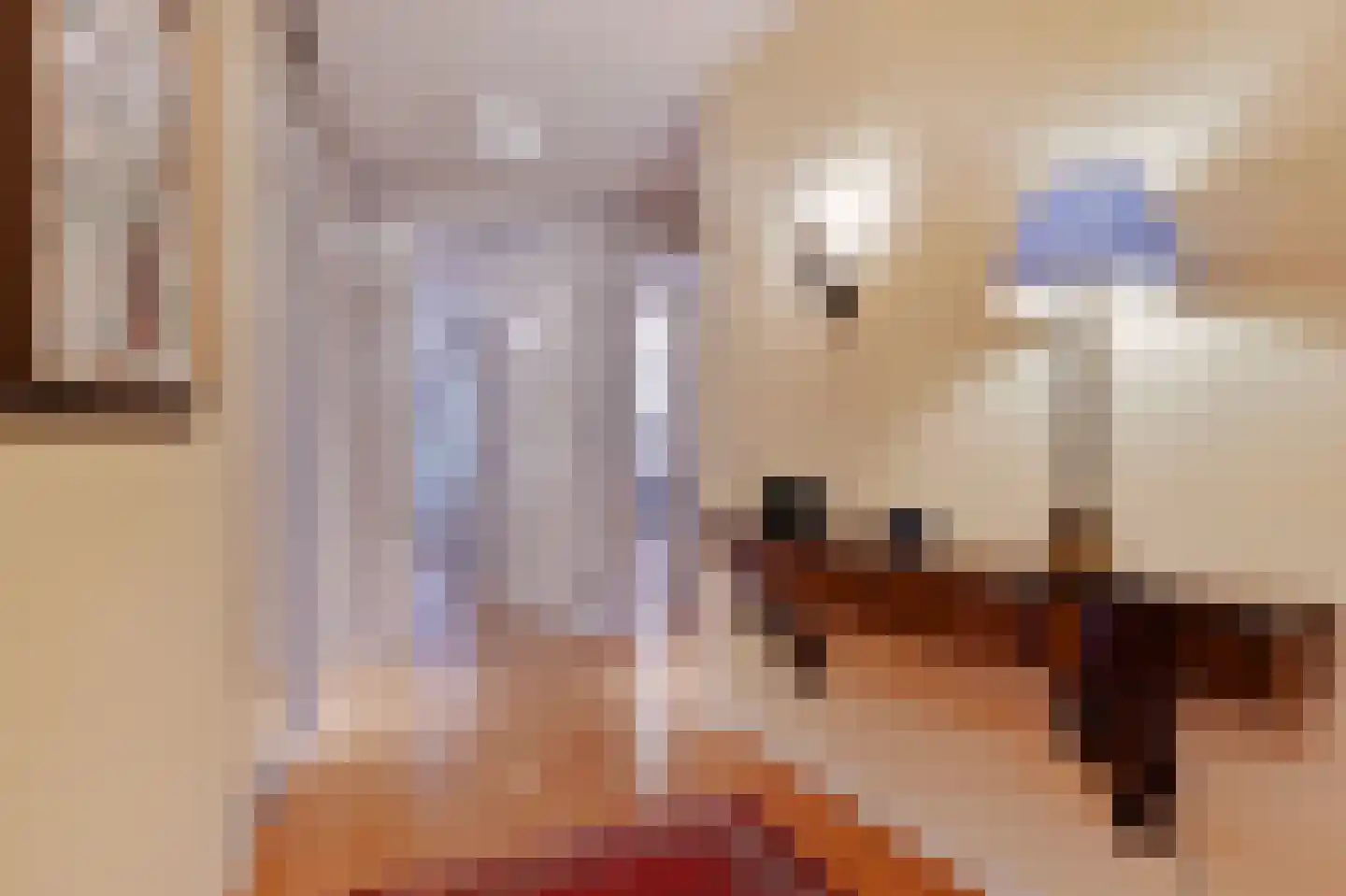 Carnegielaan 64 Den Haag thumbnail 9