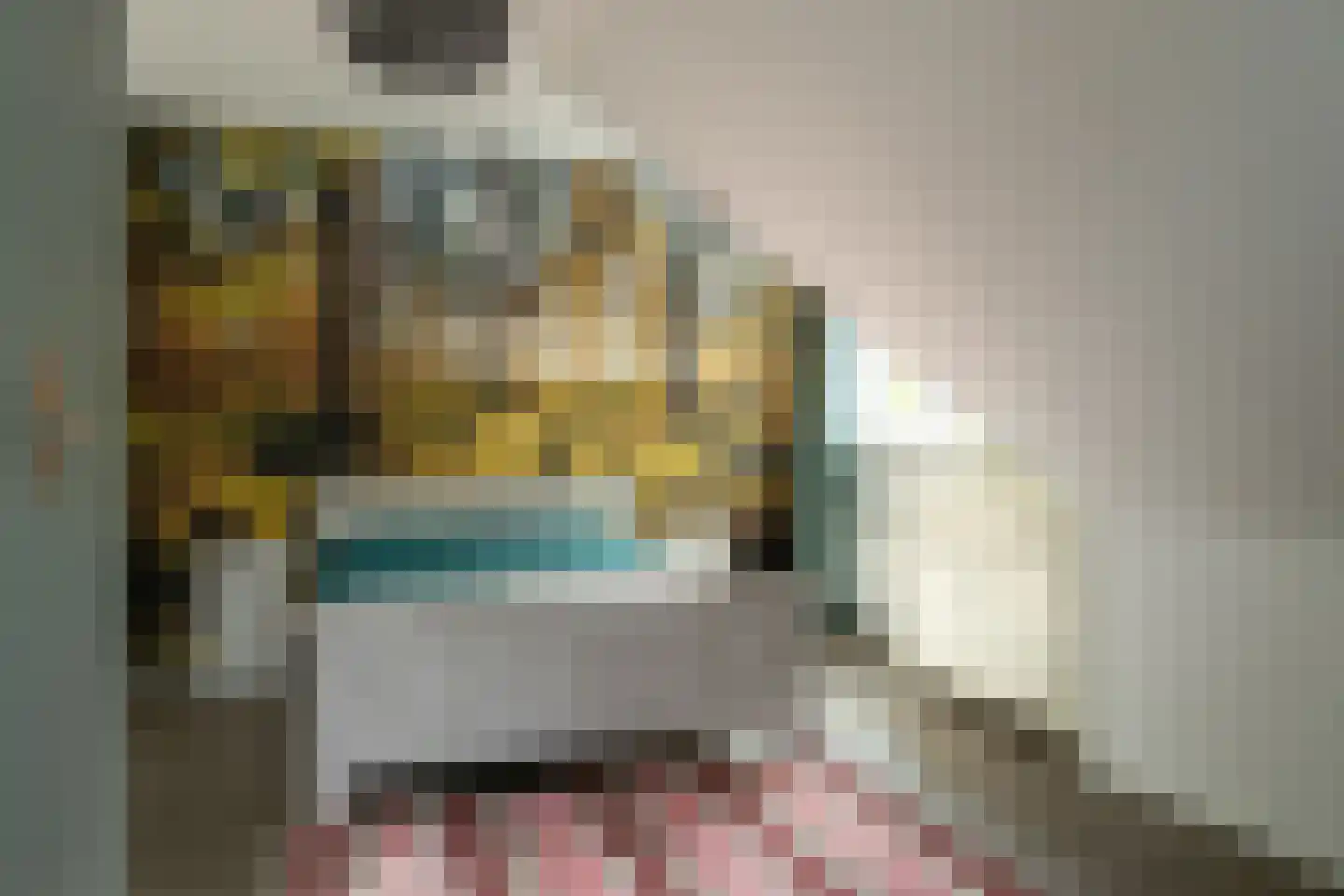 Carneool 11 Drachten thumbnail 21