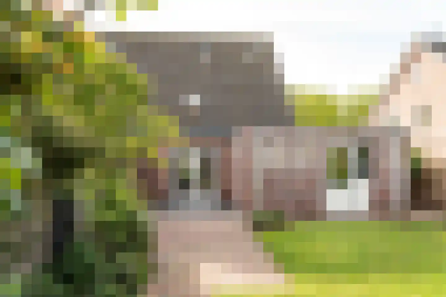 Carneool 11 Drachten thumbnail 37