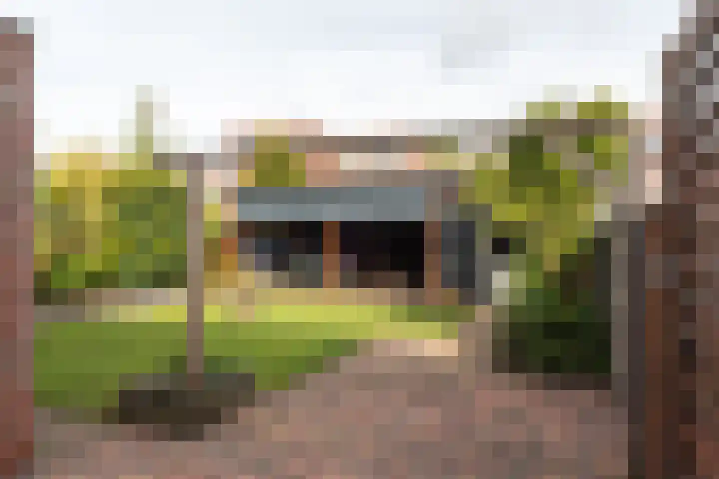 Carneool 11 Drachten thumbnail 39