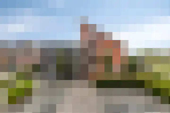 Carneool 2 Drachten thumbnail 10