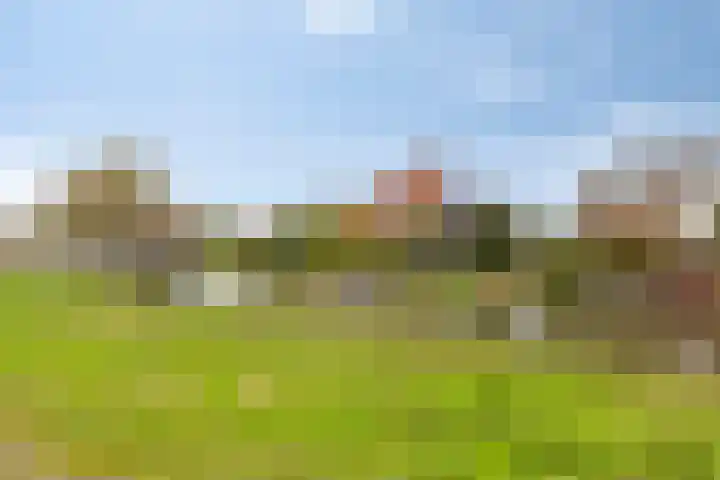 Carneool 2 Drachten thumbnail 100