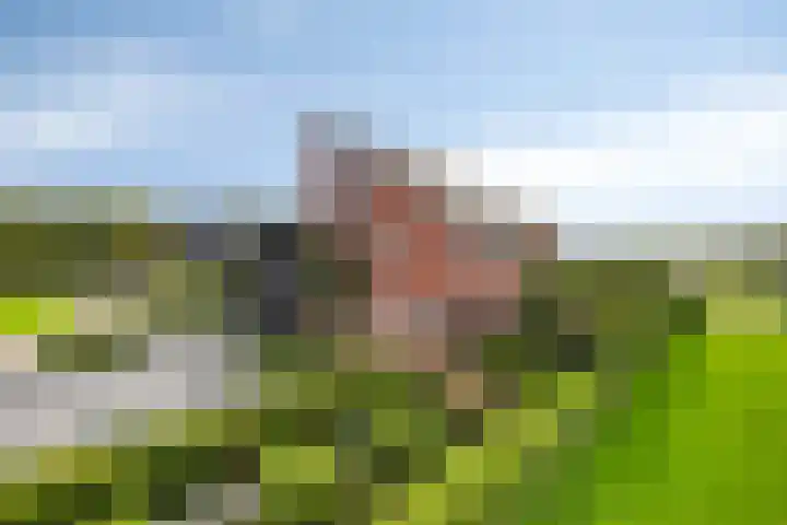 Carneool 2 Drachten thumbnail 102