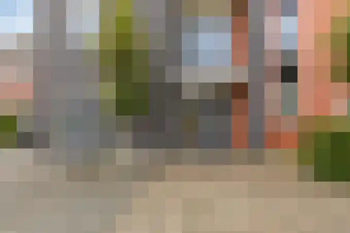 Carneool 2 Drachten thumbnail 13