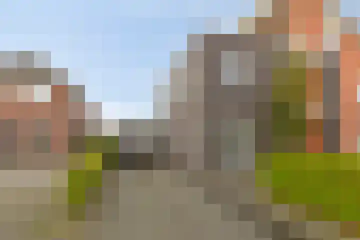Carneool 2 Drachten thumbnail 14