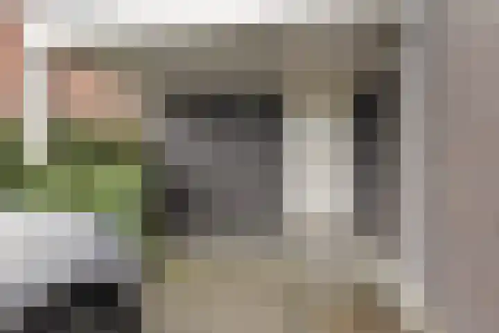 Carneool 2 Drachten thumbnail 15