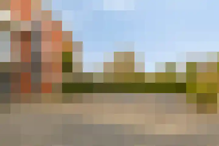 Carneool 2 Drachten thumbnail 16