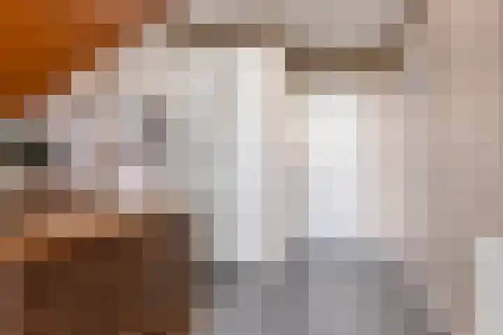 Carneool 2 Drachten thumbnail 20