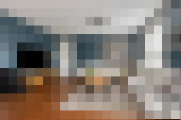 Carneool 2 Drachten thumbnail 22