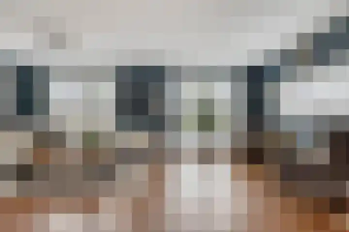 Carneool 2 Drachten thumbnail 24