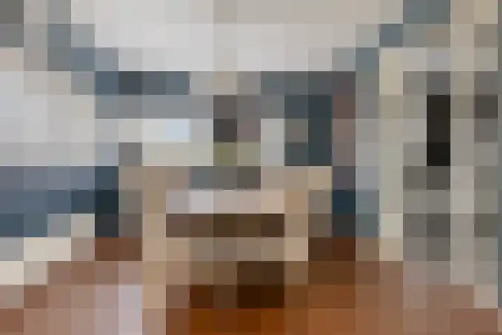 Carneool 2 Drachten thumbnail 27