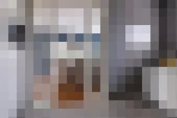 Carneool 2 Drachten thumbnail 31