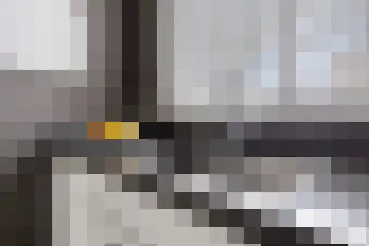 Carneool 2 Drachten thumbnail 32