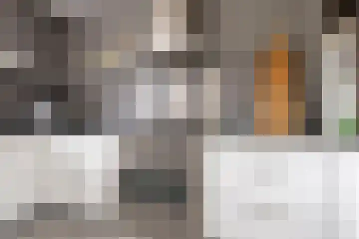 Carneool 2 Drachten thumbnail 33