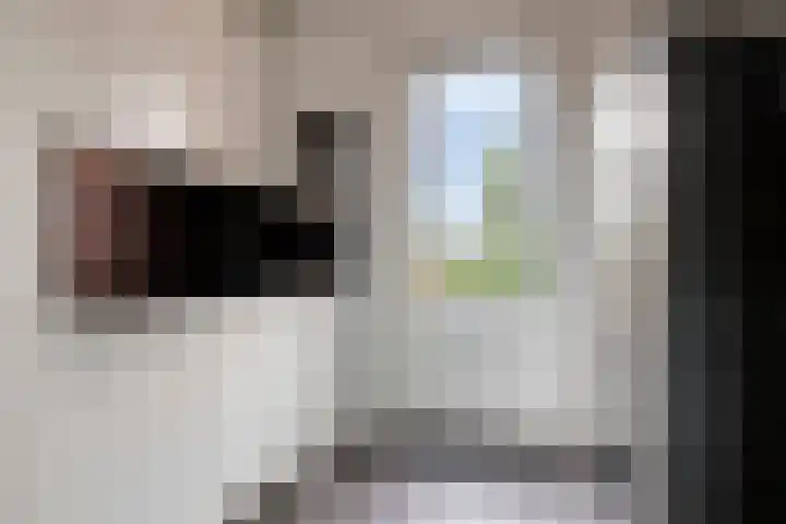 Carneool 2 Drachten thumbnail 34