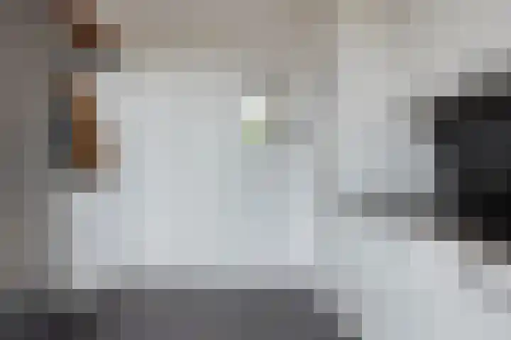 Carneool 2 Drachten thumbnail 35
