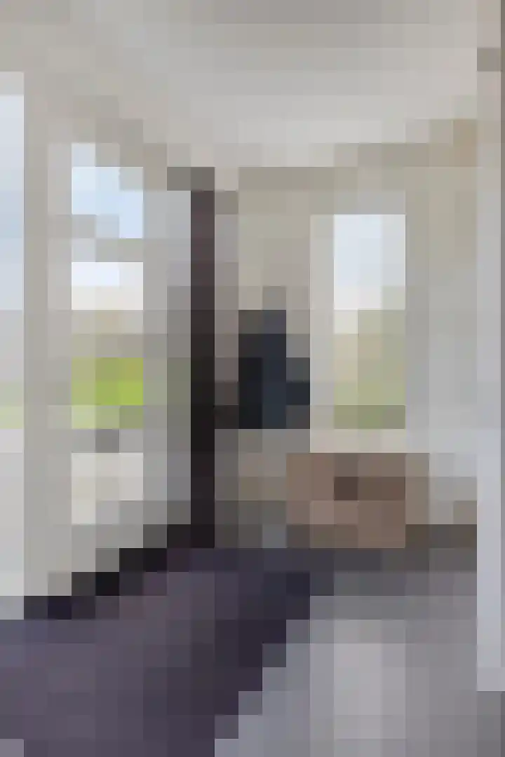 Carneool 2 Drachten thumbnail 37