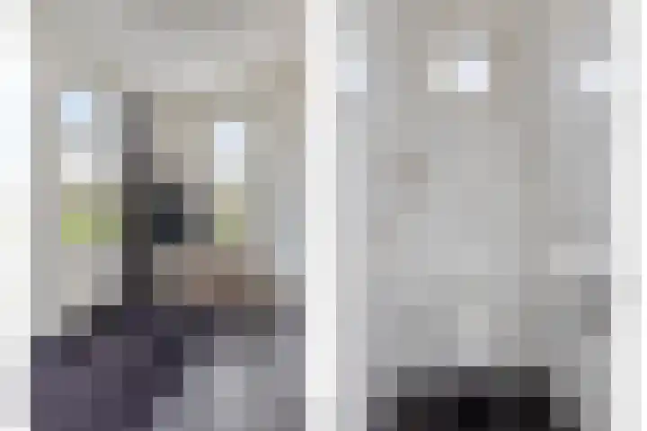 Carneool 2 Drachten thumbnail 39