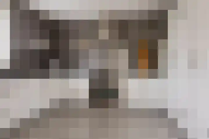 Carneool 2 Drachten thumbnail 4