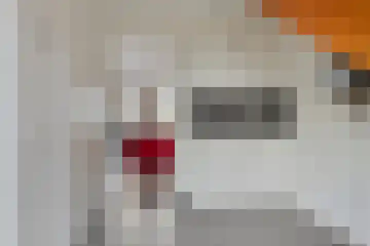 Carneool 2 Drachten thumbnail 40