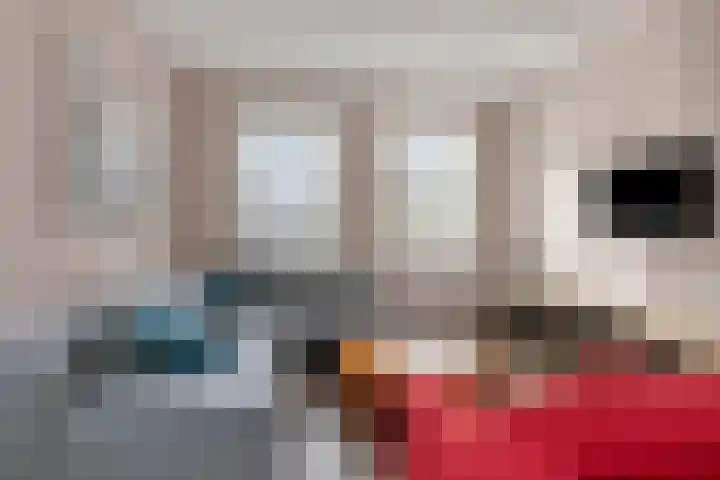 Carneool 2 Drachten thumbnail 41