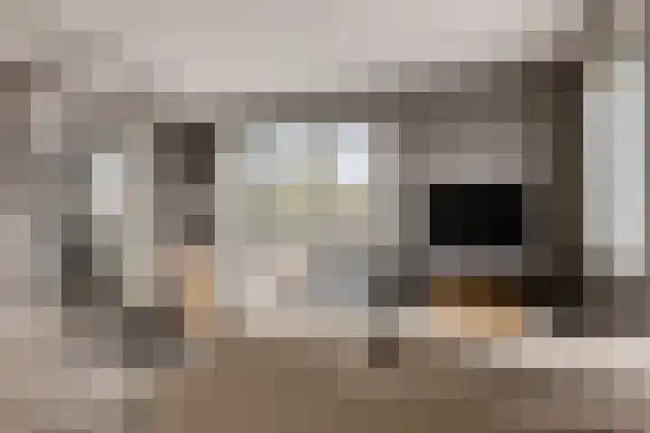 Carneool 2 Drachten thumbnail 45