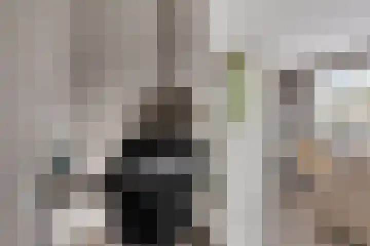 Carneool 2 Drachten thumbnail 47