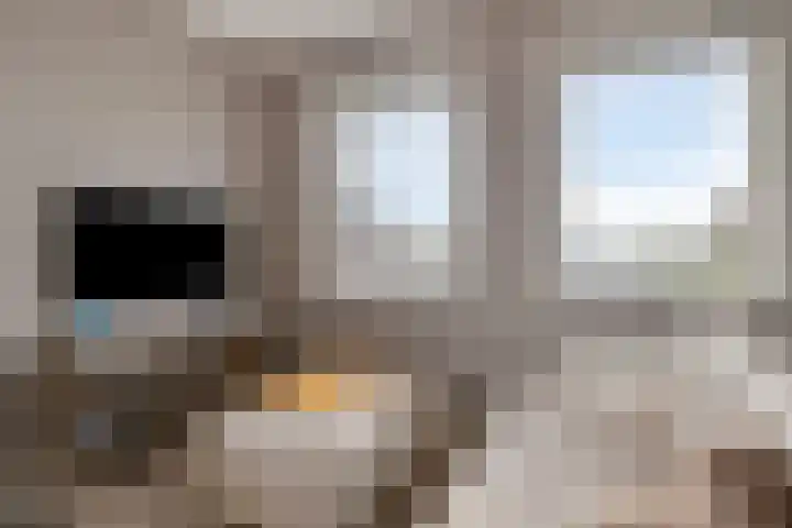 Carneool 2 Drachten thumbnail 48