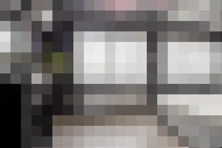 Carneool 2 Drachten thumbnail 58