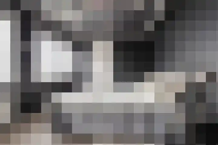 Carneool 2 Drachten thumbnail 59