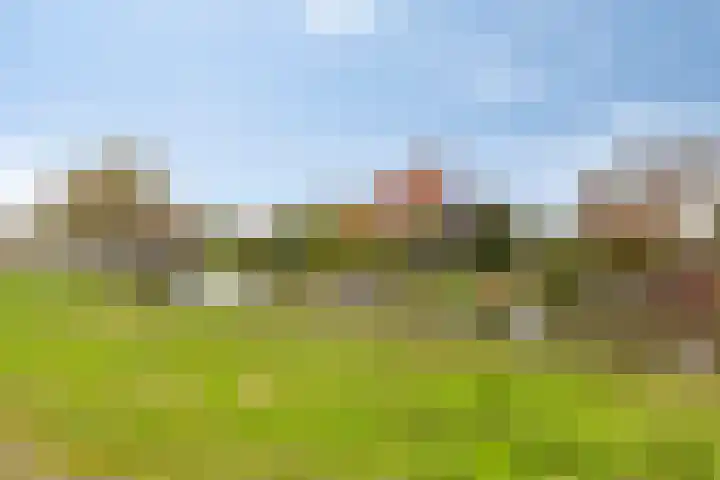 Carneool 2 Drachten thumbnail 6