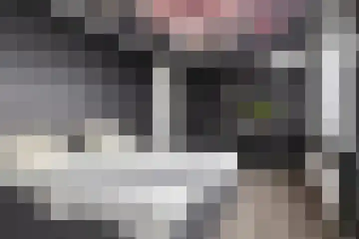 Carneool 2 Drachten thumbnail 60