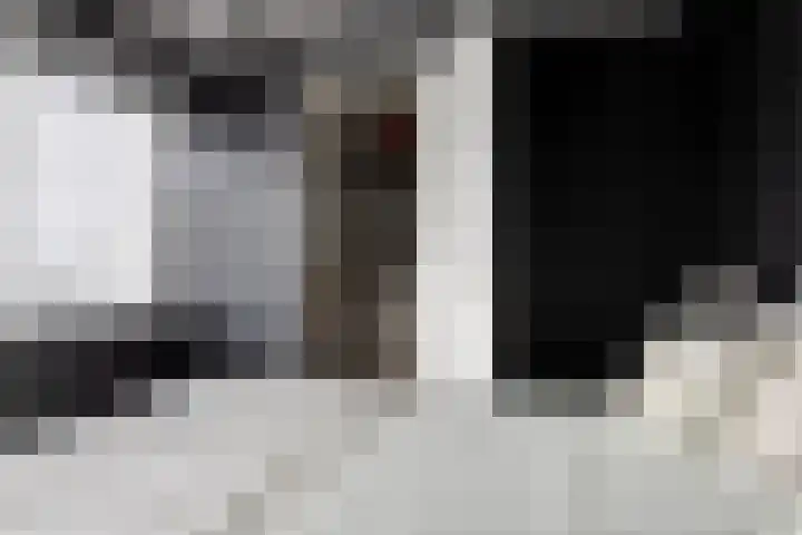 Carneool 2 Drachten thumbnail 61